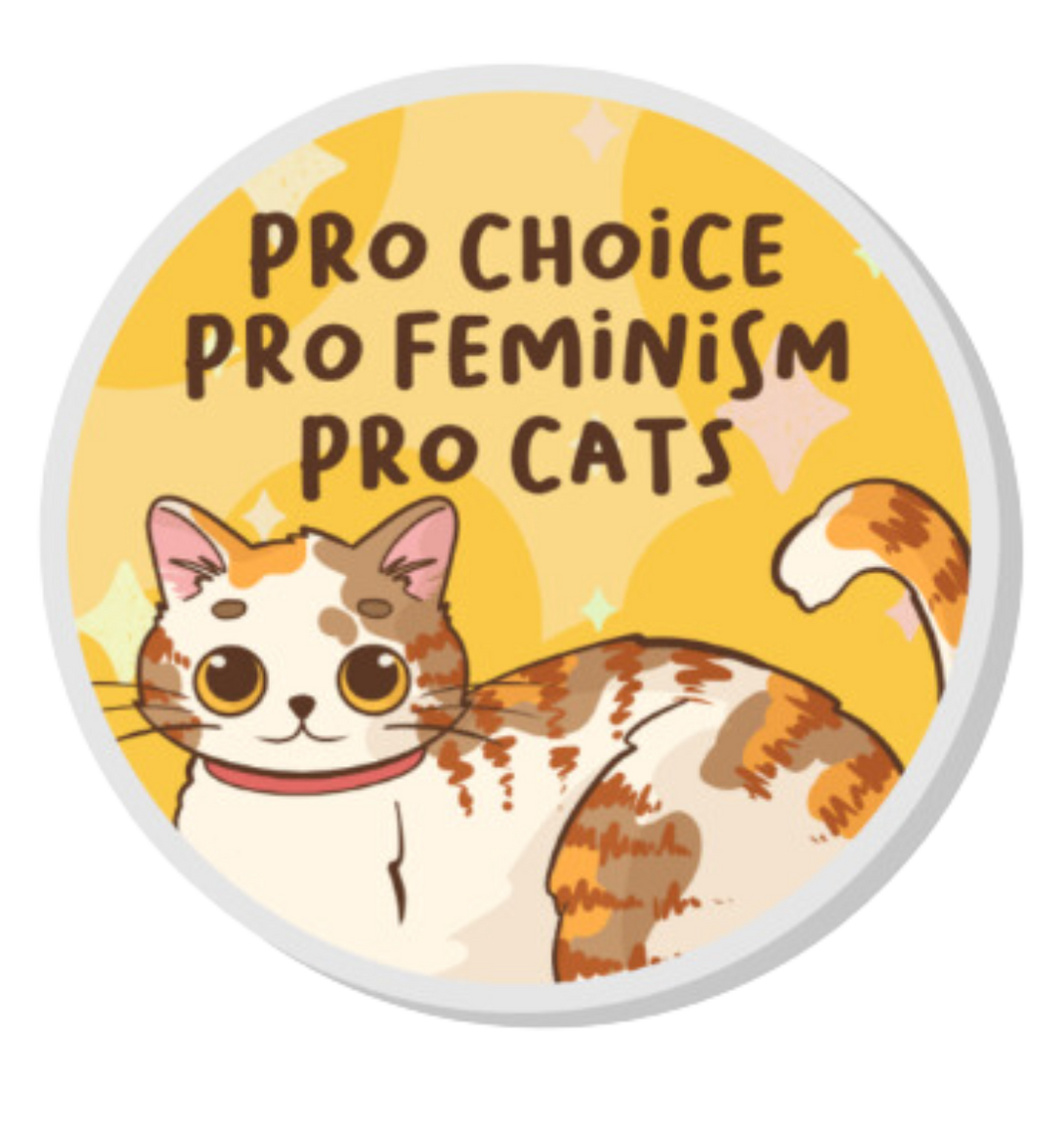 PRO FEMINISM Pin